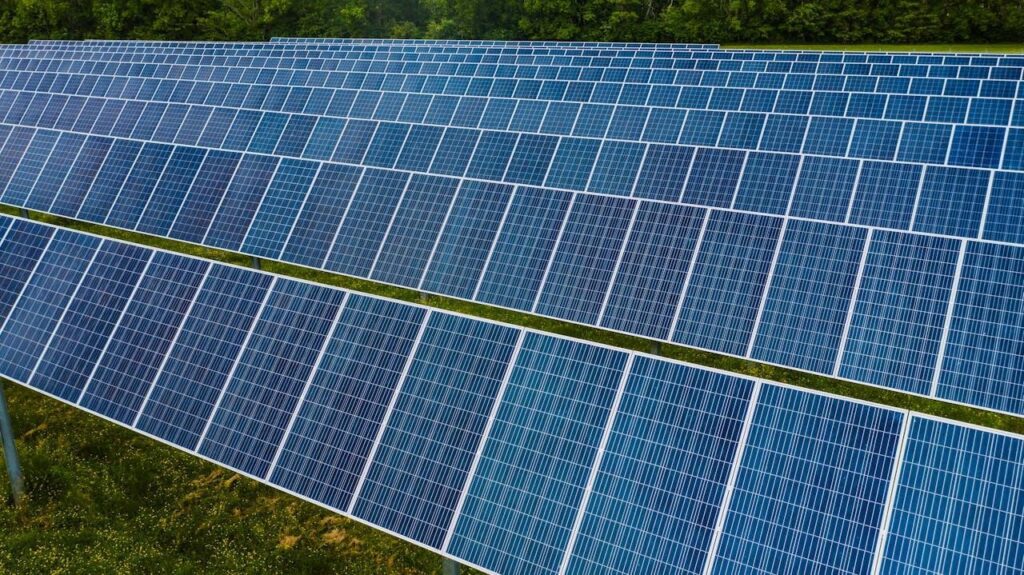 Vegetation Management Matters for Solar Farm
